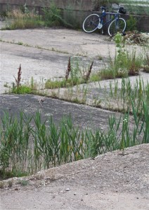 IMG_0089 - Version 3