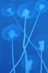 IMG_0935 - Version 2