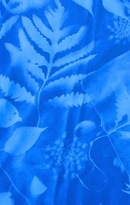 IMG_0949 - Version 2 (1)